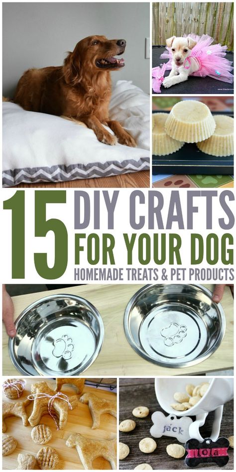 Looking for some awesome DIY projects for dogs, including dog beds, treats, & toys? Check out our 15 DIY Crafts For Your Dog list here! Diy Dog Items To Sell, Diy Pet Items To Sell, Cute Dog Ideas Diy Projects, Homemade Dog Accessories, Homemade Dog Gifts Easy Diy, Diy Durable Dog Toys, Diy Dog Stuff To Sell, Dog Budget, Animal Treats