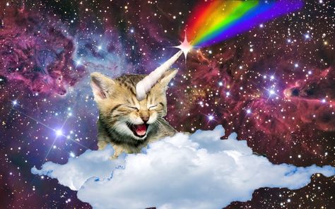 Internet Awesomesauce, Cat From Outer Space, Nerd Cat, Cat Galaxy, Cats In Space, Cat In Space, Funny Cat Jokes, Funny Looking Cats, Flying Cat