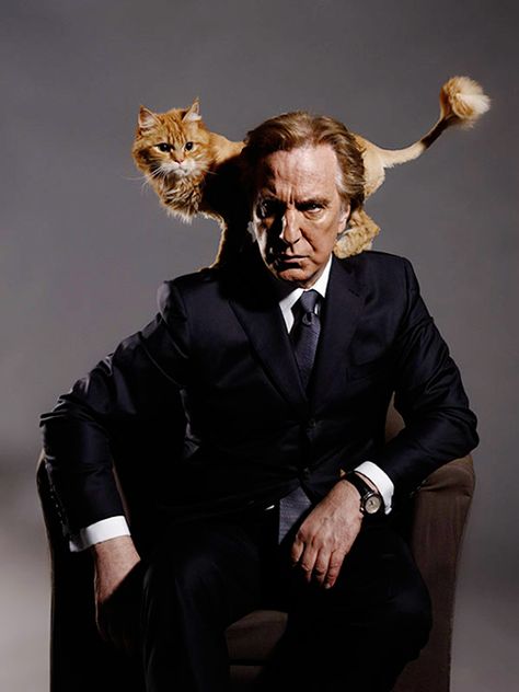 The Greek Analyst ‏@GreekAnalyst This image of the great Alan Rickman and a cat should break the internet. Twitter, do your magic. brandi1498.tumblr.com/post/64827426373/spaceshoup-alan-rickman-photoshoot-by-stuart … Celebrities With Cats, Men With Cats, Very Important Person, Photographer Advertising, Alan Rickman, Cat People, Daniel Radcliffe, Jolie Photo, Robin Hood