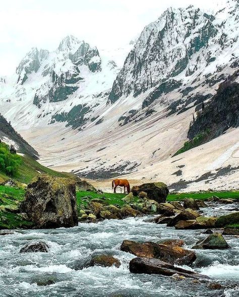 Beautiful Sonmarg ❤️ Sonmarg Kashmir Photography, Kashmir Itinerary, Kashmir Pics, Sonmarg Kashmir, Aru Valley, Jaipur Tourism, Vintage Kashmir, Kashmir Photos, Kashmir Tourism