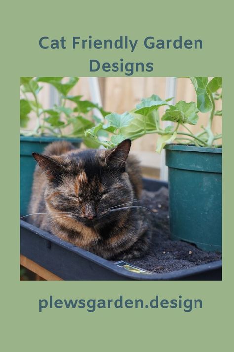 Cat Friendly Garden, Cat Friendly Herb Garden, Cats In Garden, Cat Secure Garden, Garden Cat Aesthetic, Catnip Treats, Tortoiseshell Cats, Cat Grass, Cat Plants