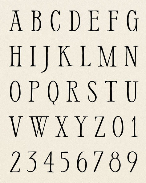 Mailroom Serif is a display typeface drafted entirely by hand for a polished yet tactile aesthetic. It is available in 4 unique styles inspired by the early 1900s, wartime, roman numerals, and old-fashioned newsprint. Delicate, romantic, old-fashioned, nostalgic and gritty. Styles include Light, Regular, Romance, and Romance Light. Desktop (otf) and Web (woff) licenses. Designed and developed by Old City Mailroom. Typography Fonts Handwriting, Simple Website Design, Font Shop, Tamworth, Type Inspiration, Display Typeface, Typography Love, Text Types, Visual Identity Design