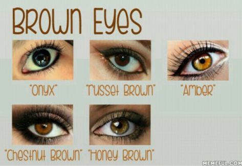 Shades Of Brown Eyes, Amber Eyes Color, Colour Eyes, Honey Eyes, Different Shades Of Brown, Eye Color Chart, Light Ash Brown, Brown Hair Shades, Amber Eyes