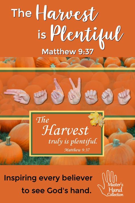 The #harvest truly is plentiful. Matthew 9:37 Find out what this #BibleVerse means in this #Devotional #fall #Autumn #Jesus #BibleStudy Fall Devotional Ideas, Harvest Sunday School Lesson, Fall Devotions For Kids, Harvest Bible Lessons For Kids, The Harvest Is Plentiful, Harvest Bible Verses, Fall Devotionals For Women, Fall Bible Lessons For Kids, Christian Harvest Party