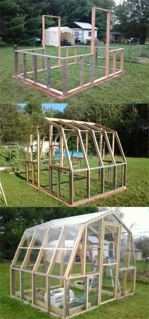 Serre Diy, Diy Greenhouses, Greenhouse Farming, Cold Frames, Diy Greenhouse Plans, Free Building Plans, Outdoor Greenhouse, Build A Greenhouse, Greenhouse Effect