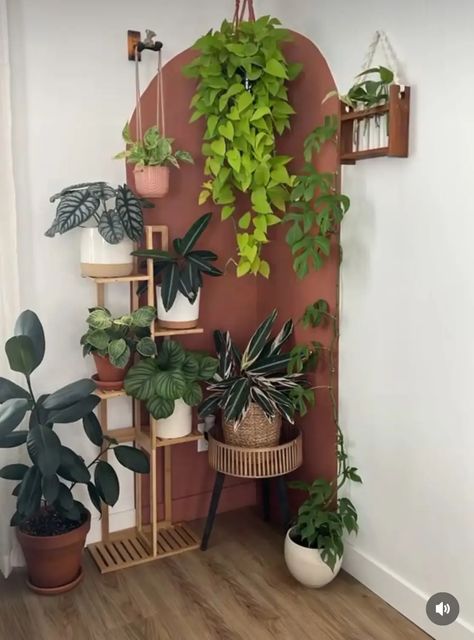 Plant Display Ideas, Corner Plant, Living Room Plants, Floor Shelf, Big Plants, Plant Aesthetic, White Living Room, Room With Plants, Plant Lady