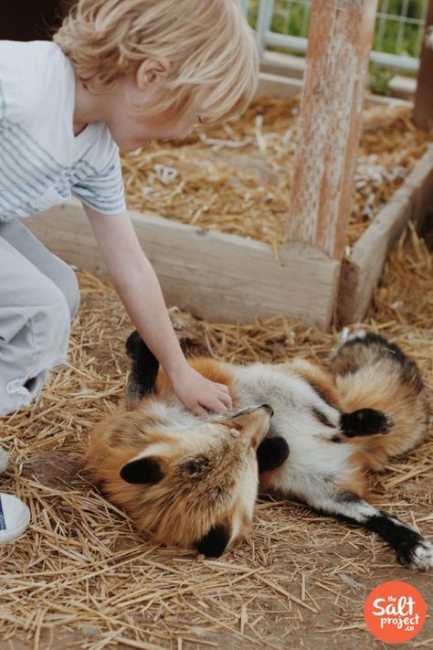 Rescue Farm, Utah With Kids, Things To Do In Utah, Giant Tortoise, Farm Plans, Happy Friday Everyone, Pet Day, Animal Sanctuary, Hobby Farms