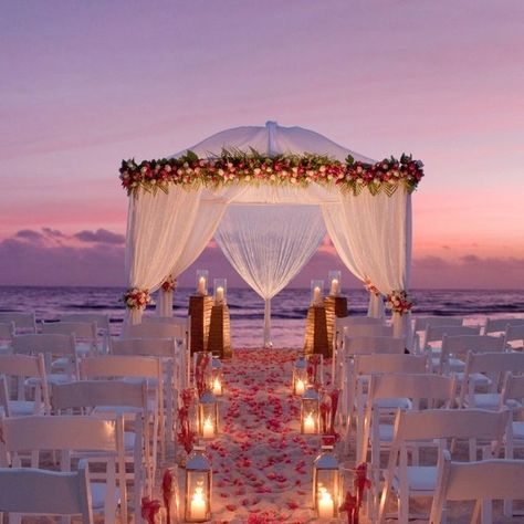 Tangled Beach Wedding, Beach Alter, Night Beach Weddings, Beach Wedding Aisles, Photography Rates, Sunset Beach Weddings, Wedding Setup, Dream Beach Wedding, Perfect Sunset