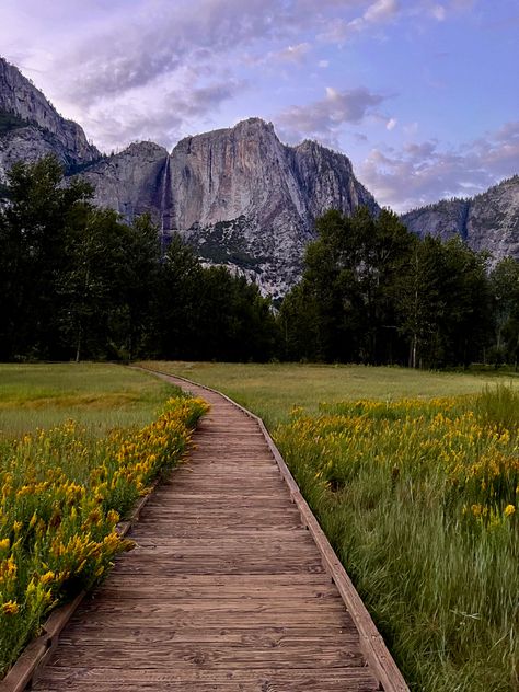 National Parks Pictures, Yosemite In September, Us Travel Aesthetic, Outdoor Vision Board, Glacier Point Yosemite, Out West Aesthetic, Yosemite National Park Aesthetic, Yosemite Aesthetic, National Parks Aesthetic