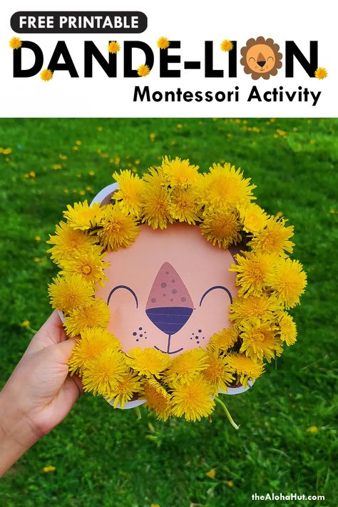 Fun todder and preschool activity with your kids that helps them practice fine motor skills. Take your kids out for a nature walk and pick dandelions to complete the lions mane. Great activity for prechool kids who want to go to the park for a fieldtrip. The dande-lion print is free to download. Add it to your montesorri lesson plans and let kids be creative with this DIY craft activity. #dandelion #naturewalk #natureactivity #preschoolactivity #toddleractivity #montessori #freeprintables Kids Nature Activities, Lion Flower, Nature Activity, Lion Craft, Color Sorting Activities, Montessori Activity, Free Printable Activities, Toddler Activity, Nature Walk