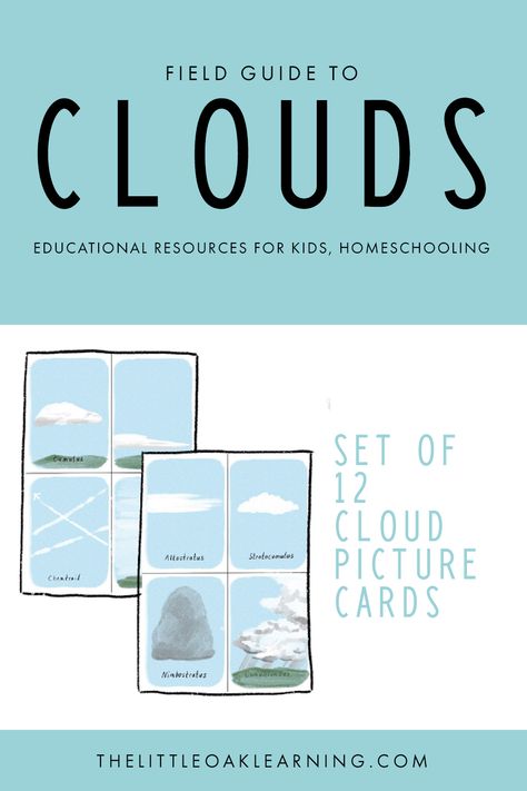 Learning About Clouds Kindergarten, Clouds Unit Study, Types Of Clouds For Kids, Cloud Identification Printable, Cloud Spotting, Clouds Lesson Plan, Types Of Clouds, Record Chart, Homeschool Nature