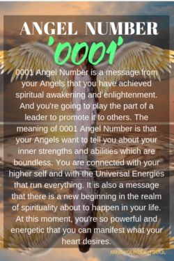 0001 Angel Number is a message from your Angels that you have achieved spiritual awakening and enlightenment. And you're going to play the part of a leader to promote it to others. 2233 Angel Number, 2233 Angel Number Meaning, 2323 Angel Number, Spiritual Numbers, Angel Number 1, S Meaning, Angel Number Meaning, Goddess Athena, Numerology Numbers