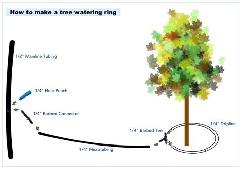 Drip Line Irrigation, Tree Irrigation, Irrigation System Design, Irrigation Diy, Potted Fruit Trees, Drip Irrigation Kit, Drip System, Drip Irrigation System, Watering & Irrigation