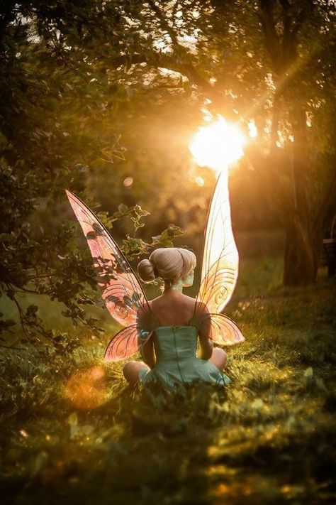 Fantasy Humans, Green Fairy Wings, Fairy Photoshoot, Fairy Halloween Costumes, Fairies Photos, Fairy Images, Dream Fantasy, Elves And Fairies, Fairy Pictures