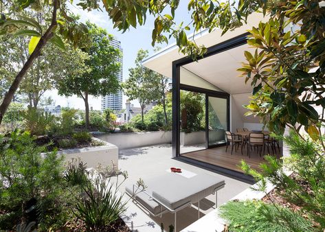 rooftop garden terrace | CO-AP creates rooftop oasis for a Sydney penthouse Rooftop Addition, Oasis Architecture, Penthouse Garden, Sydney Apartment, Terraced Landscaping, Apartment Block, Rooftop Terrace Design, Patio Roof, Architecture Awards