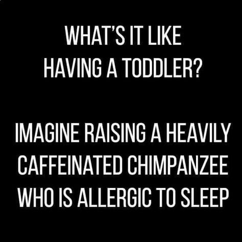 Sleep Quotes Funny, Toddler Quotes, Funny Sleep, Parents Quotes Funny, Sleep Funny, Toddler Humor, Mom Memes, Funny Mom Quotes, Funny New