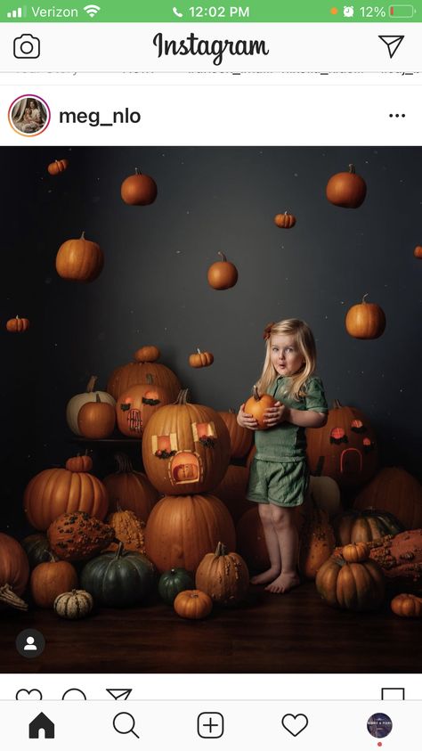 Fall Baby Photos, Halloween Mini Session, Studio Mini Sessions, Mini Photo Shoot, Mini Photo Sessions, Fall Shoot, Halloween Photography, Photography Career, Photoshoot Studio