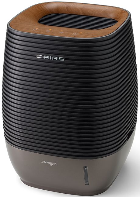 Coway air purifiers and humidifiers with real pine scent Philips Air Purifier, Best Air Purifier, Coway Air Purifier, Xiaomi Air Purifier, Honeywell Air Purifier, Red Dot Design, Pc Cases, Speaker Design, Air Purifier