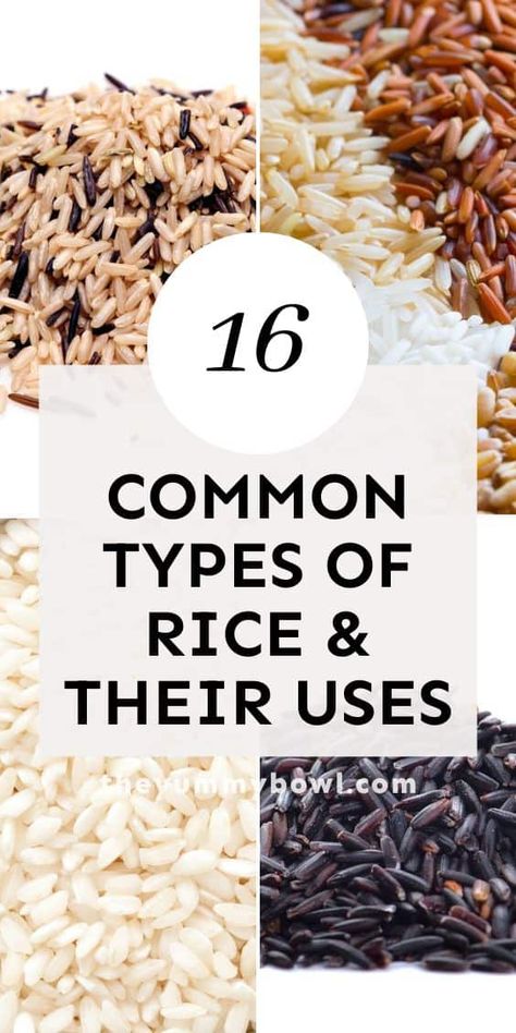 Learn about 16 commonly used types of rice (with photos), their uses and tips for cooking. Types Of Rice Chart, Different Rice Types, Different Kinds Of Rice, Different Types Of Rice, Types Of Rice, Rice Types, Rib Tips, How To Make Risotto, Tips For Cooking