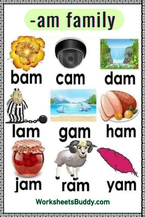 Build Literacy Skills with AM Word Family Worksheets Am Family Words, Am Word Family, Am Words, Cvc Phonics, Family Words, Kindergarten Word Families, Remedial Reading, Family Word, Reading Comprehension For Kids