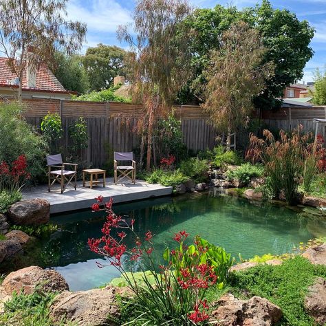 Swimming Pool Pond, Natural Swimming Ponds, Pool Landscape Design, Swimming Pond, Natural Swimming Pools, Natural Swimming Pool, Small Pools, Building A Pool, Dream Pools