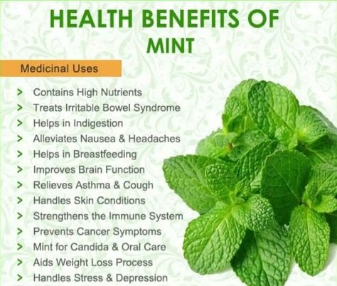 Mint Leaves Benefits, Mint Benefits, Purple Vegetables, Food Benefits, Herbal Remedies Recipes, Vegetable Benefits, Healthy Superfoods, Ayurvedic Healing, Food Health Benefits