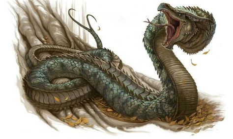 Basilisk Dnd Basilisk, Basilisk Dragon, Snake Creature, Rpg Creatures, Rpg Monsters, Snake Dragon, Types Of Dragons, Mythical Beasts, Fantasy Beasts