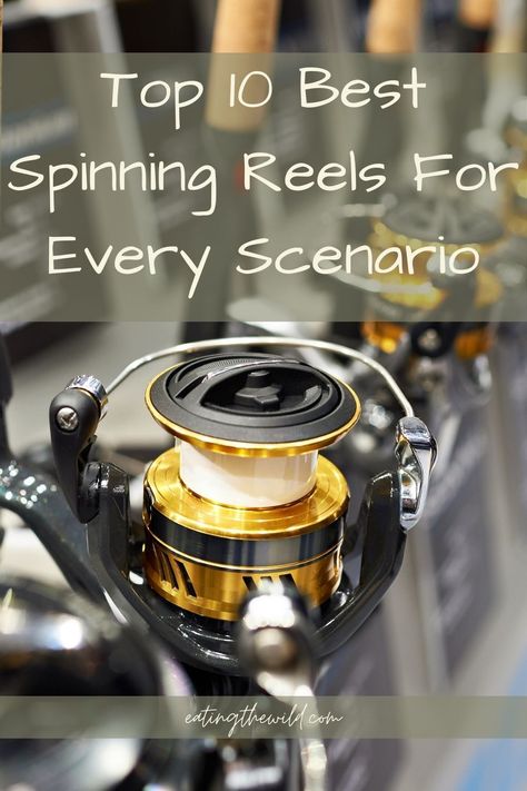 Read our article about the best spinning reels and take your favorite pick! #best #fishing #reel Surf Fishing, Spinning Reels, Trout Fishing, Best Fishing, Fishing Reels, Fishing Trip, Bass Fishing, Plan A, Product Reviews