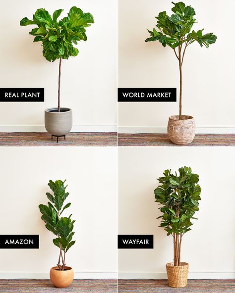 Fiddle Leaf Tree Pot Ideas, Indoor Faux Plants Decor, Faux Indoor Trees, Scandinavian Bungalow, Fake Indoor Trees, Faux Plant Decor, Ideas Para Decorar Jardines, Gardening Indoors, Fiddle Leaf Tree