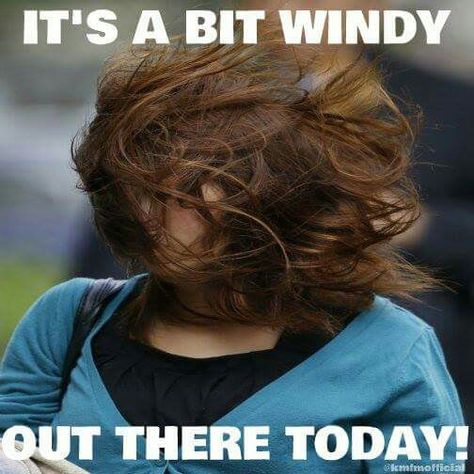 It's a bit windy out here today Windy Hair, Wind Quote, Hair Quotes Funny, Weather Memes, Funny Weather, Hair In The Wind, Weather Quotes, Blowing In The Wind, Windy Weather