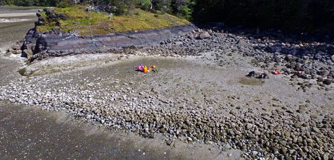 Clam garden on Quadra Island, BC Indigenous History, Campbell River, Garden Show, Life Form, Aerial Photo, Rock Garden, Washington State, Garden Wall, Marine Life