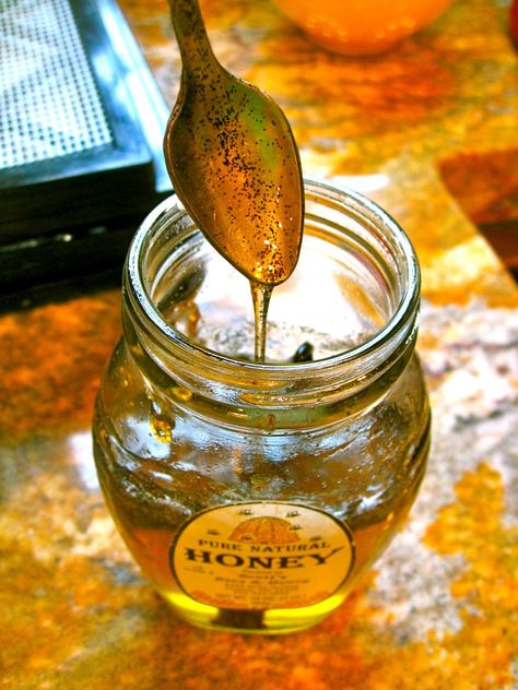 Gaps Recipes, Vanilla Honey, Honey Diy, Specific Carbohydrate Diet, Gaps Diet, Honey Recipes, Homemade Vanilla, Honey Jar, Jams & Jellies