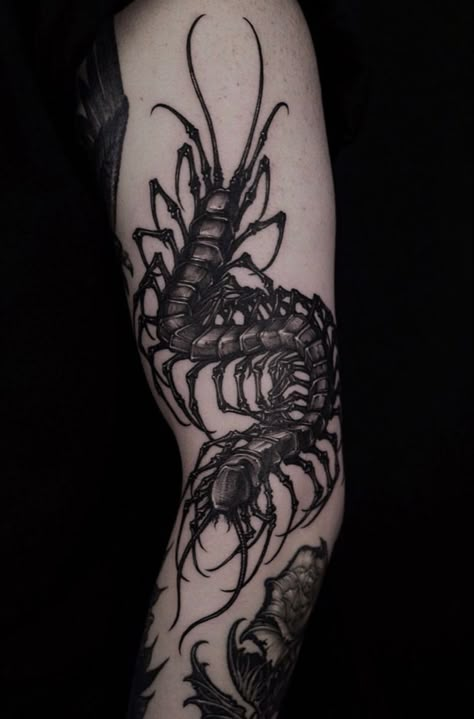 Centipede Tattoo, Heavily Tattooed, Tattooed People, Insect Photos, Blackwork Designs, Bug Tattoo, Wicked Tattoos, Chest Tattoos, Fire Tattoo