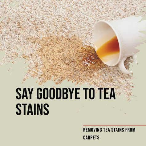 Remove Tea Stains Stain Removal, Tea Stains, 4 Seasons, How To Clean Carpet, Stain Remover, Stain, Carpet, Tea, Canning