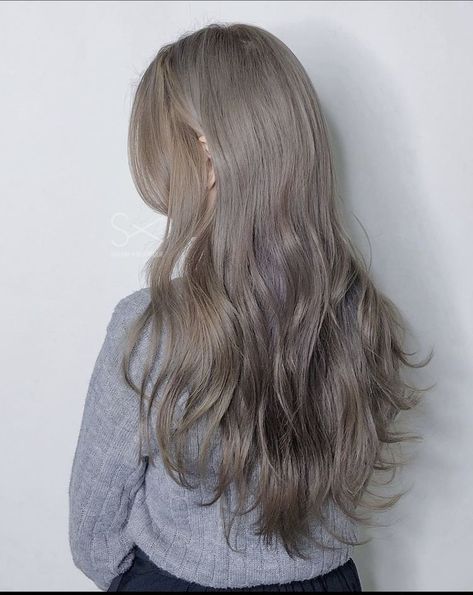 Beown Hair, Grey Hair Korean, Greyish Blonde Hair, Brown And Silver Hair, Beige Hair Color, Grey Brown Hair, Ash Grey Hair, Filter Guide, Which Hair Colour