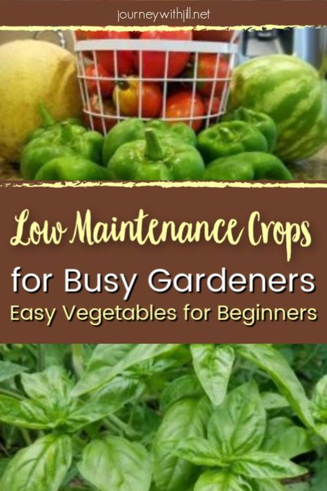 garden Easy Vegetables, Vegetable Garden Raised Beds, Garden Hacks, Low Maintenance Garden, Organic Gardening Tips, Garden Pests, Easy Garden, Organic Vegetables, Veggie Garden