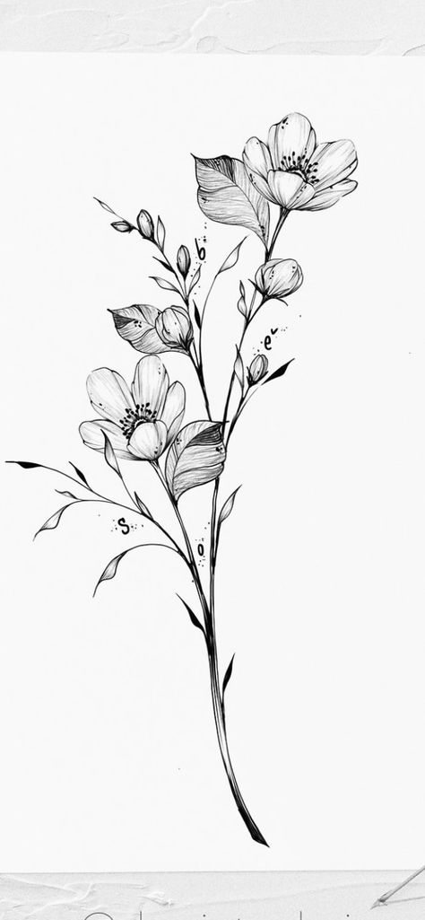 Dainty Vine Drawing, Apple Blossom Branch Tattoo, Flower Branches Tattoo, Long Flowers Tattoo, Apple Flowers Tattoo, Vines Flowers Tattoo, Flower Umbrella Drawing, Magnolia Vine Tattoo, Line Art Floral Tattoo