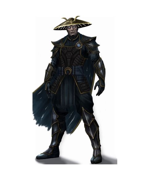 Raiden Dark Raiden, Lord Raiden, Famous Warriors, Beef Empanadas, Superhero Villains, Monster Hunter, Cool Animations, Video Game Art, Character Drawing