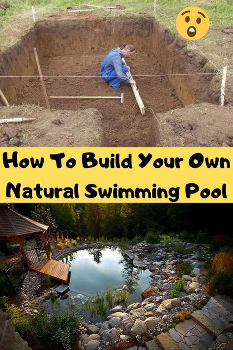 Natural Swimming Ponds, Diy Swimming Pool, Swimming Pond, Natural Swimming Pools, Natural Swimming Pool, Have Inspiration, Natural Pool, Pool Designs, Backyard Pool