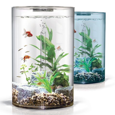 Biube 9 gallon aquariums!!!  Starting at $139.00 Klein Aquarium, Log Lamp, Ikan Air Tawar, Small Fish Tanks, Cool Fish Tanks, Indoor Water Garden, Led Aquarium, Nature Aquarium, Cool Fish