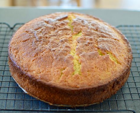 Italian Citrus Cake (A.K.A Maialino’s Olive Oil Cake) – Community Table Citrus Cake Recipe, Citrus Cake, Community Table, Making Whipped Cream, Cake Christmas, Oil Cake, Olive Oil Cake, Orange Cake, Fruit In Season