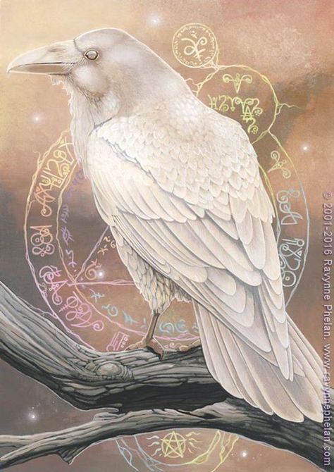 Photo | Raven’s Magic by ravynnephelan on DeviantArt ift.tt/… | Flickr Raven Artwork, Tattoo Bird, White Crow, Raven Bird, Media Branding, Crow Art, Raven Art, Crows Ravens, Bird Wings