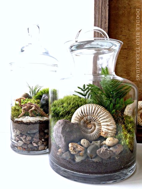 . Plants In Glass Jars, Plant In Glass, Terrarium Jar, Beautiful Terrariums, Mini Terrarium, Flower Tower, Gladioli, Jar Design, Bottle Garden