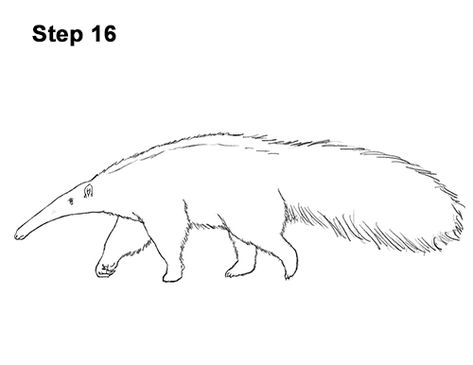 Anteater Drawing, Simple Nature Drawing, Brazil Animals, Aesthetic Skateboard, Giant Anteater, Drawing Instructions, Popular Cartoons, Mothers Day Crafts For Kids, Canvas Painting Designs