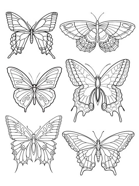 Butterfly Simple Outline, Butterfly Drawing Pattern, Single Line Butterfly Drawing, Line Drawings Of Butterflies, Stencil Butterfly Tattoo, Butterfly Illustration Simple, Line Butterfly Drawing, Half Butterfly Drawing, Butterfly Outline Printable