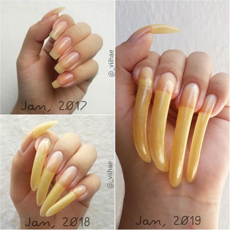 YEARS BABY!!!!! That's the longest I've ever let my nails growing!!!😯😯😍😍😍😍 Wow, what a journey ❤ thank you all for the incredible support Long Natural Nails, Long Fingernails, Curved Nails, Bad Tattoos, Cat Nails, Summer Acrylic Nails, Strong Nails, Rainbow Nails, I Love Nails