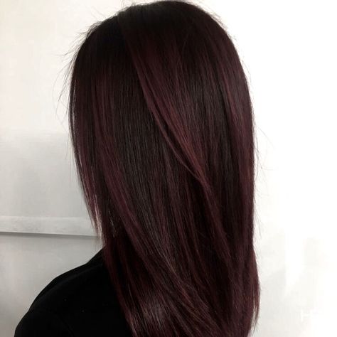 Dark Brown Hair With Red Highlights Straight, Black Cherry Hair Highlights, Red Highlights On Dark Hair Straight, Light Brown Hair With Dark Red Highlights, Dark Red Highlights On Black Hair, Redish Black Hair Dark, Dark Cherry Hair With Highlights, Cherry Red Streaks, Black Cherry Hair Color Brown Skin