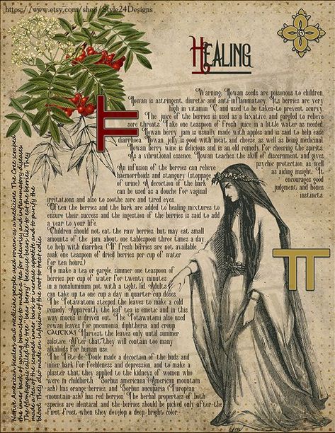 Zodiac Trees, Green Witch Grimoire, Witchcraft Grimoire, Celtic Ogham, Witch Grimoire, Celtic Druids, Tarot Significado, Wiccan Crafts, Norse Symbols