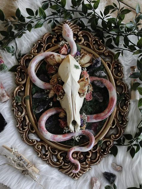 Repurposed Animal Bones, Deer Skull With Crystals, Skull Collection Display, Skull Taxidermy Art, Fairy Taxidermy, Oddities Decor Diy, Bone Art Diy, Deer Jaw Bone Art, Bones Witchcraft