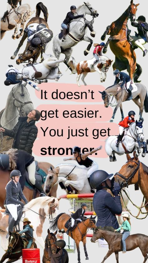 Horse Riding Aesthetic, Horse Riding Quotes, Dream Horse Barns, Riding Quotes, Equestrian Aesthetic, English Horse, Horse Wallpaper, Equestrian Life, Horse Barns